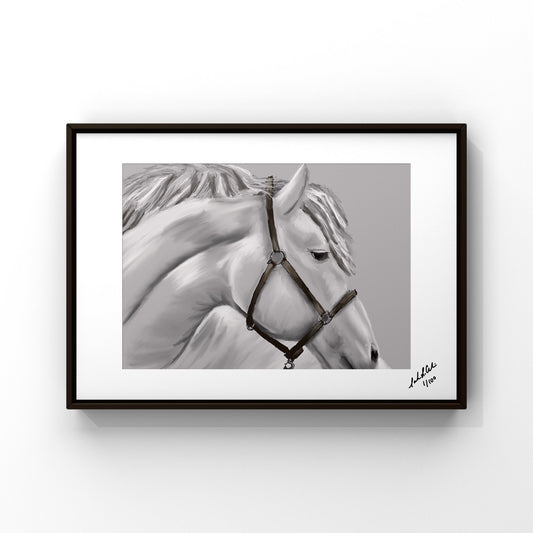 “White Horse”- Digital Art - Photo Print
